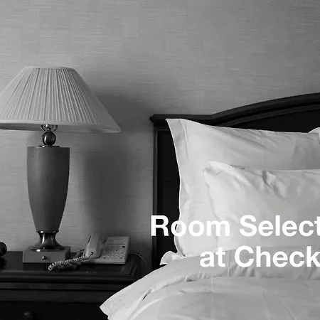 Design Mr President Hotell