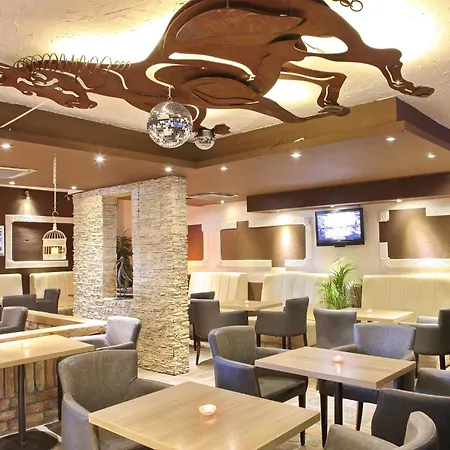 Design Mr President Belgrado