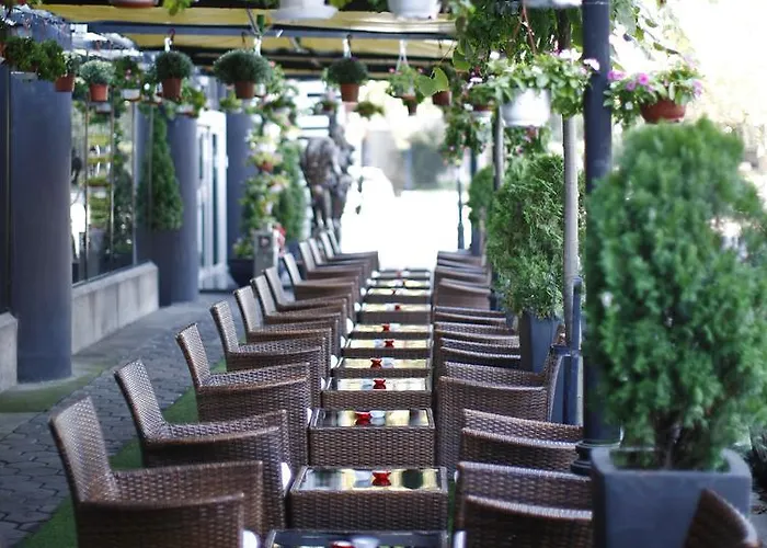 Design Mr President فندق